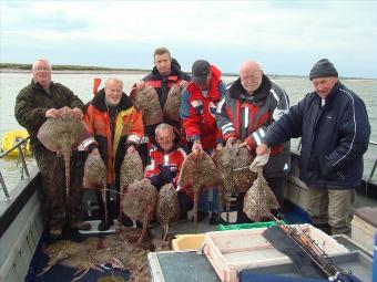 11 lb 8 oz Thornback Ray by pete