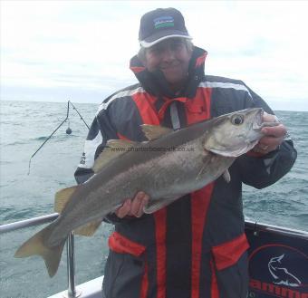 11 lb 12 oz Pollock by Derek Inwood