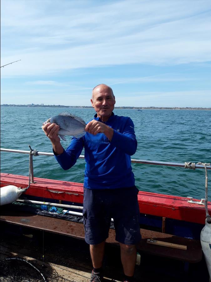 2 lb Black Sea Bream by Richard Cooper