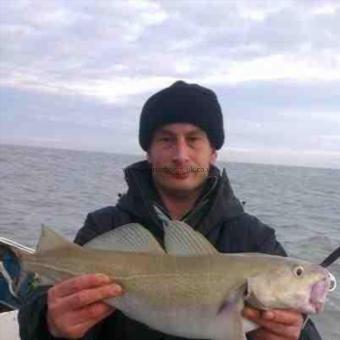 4 lb 3 oz Cod by Colin