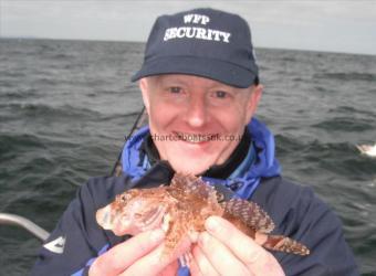 4 oz Short-spined Sea Scorpion by Gareth