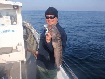 4 lb 4 oz Wolf Fish by Dermot Faye from Bedale North Yorks.