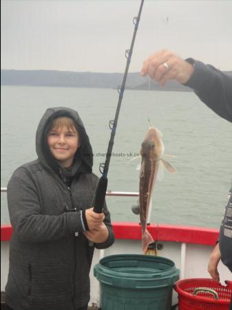 1 lb Grey Gurnard by Unknown