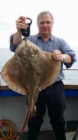 13 lb Undulate Ray by Simon