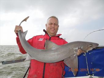 20 lb Smooth-hound by Chris Boxall