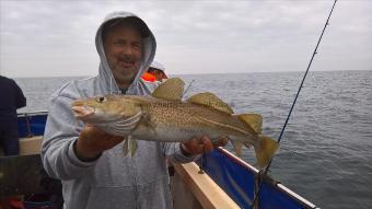 6 lb Cod by Stephen Wake