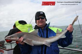 14 lb Starry Smooth-hound by Neil