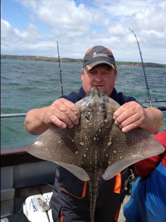 4 lb 8 oz Thornback Ray by Bob M