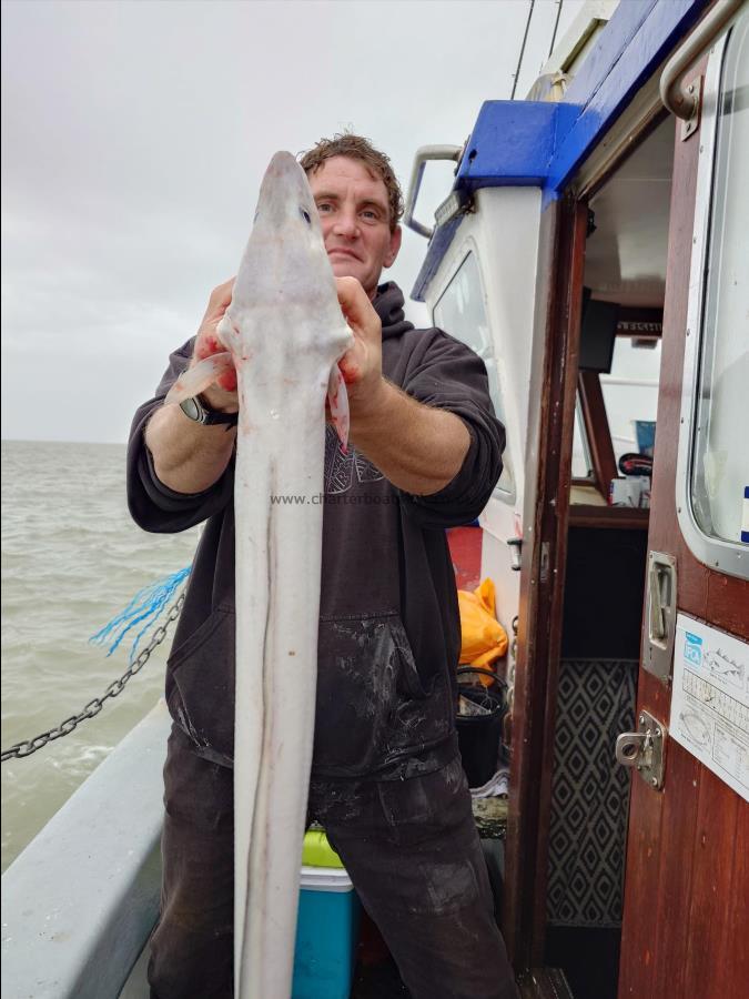 13 lb Conger Eel by David