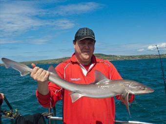 10 lb Starry Smooth-hound by Al Jones