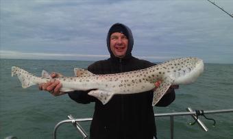 13 lb Bull Huss by Dave Colclough