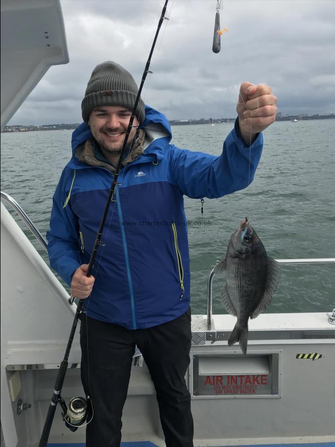 1 lb 6 oz Black Sea Bream by Unknown