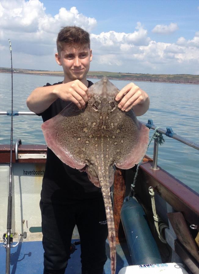 7 lb Thornback Ray by Unknown