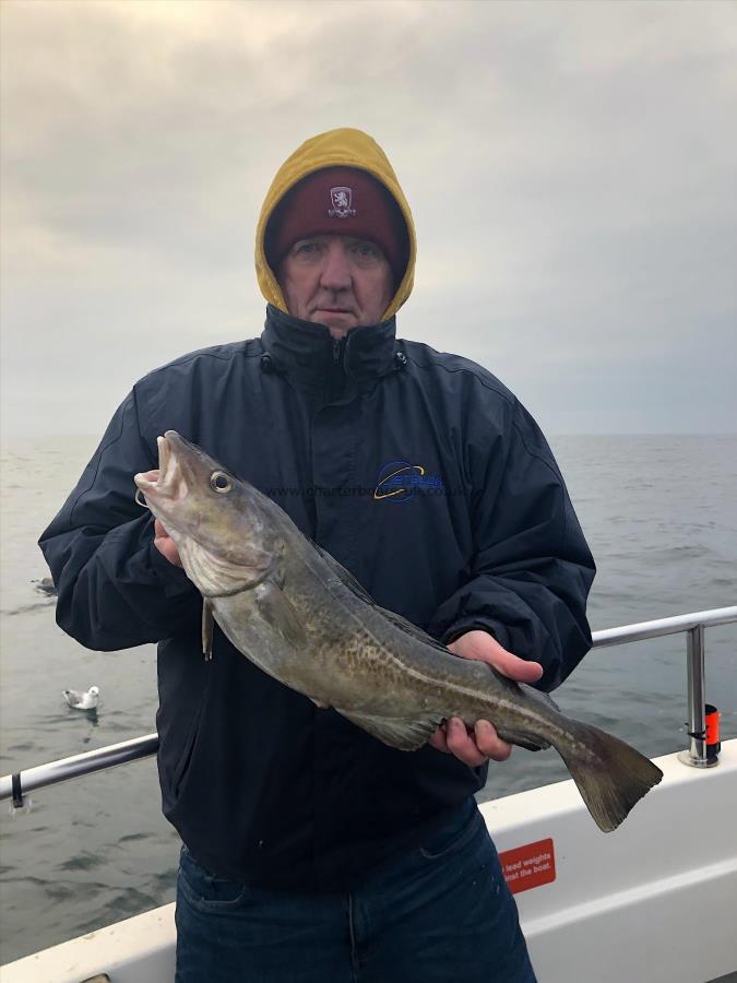 4 lb 8 oz Cod by Andy Lavan