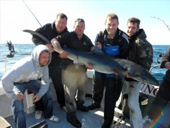 95 lb Blue Shark by Andy Truelove
