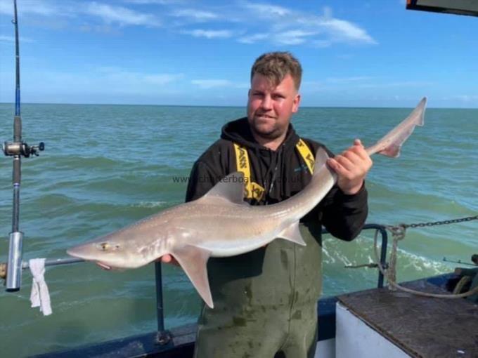 12 lb Smooth-hound (Common) by Unknown