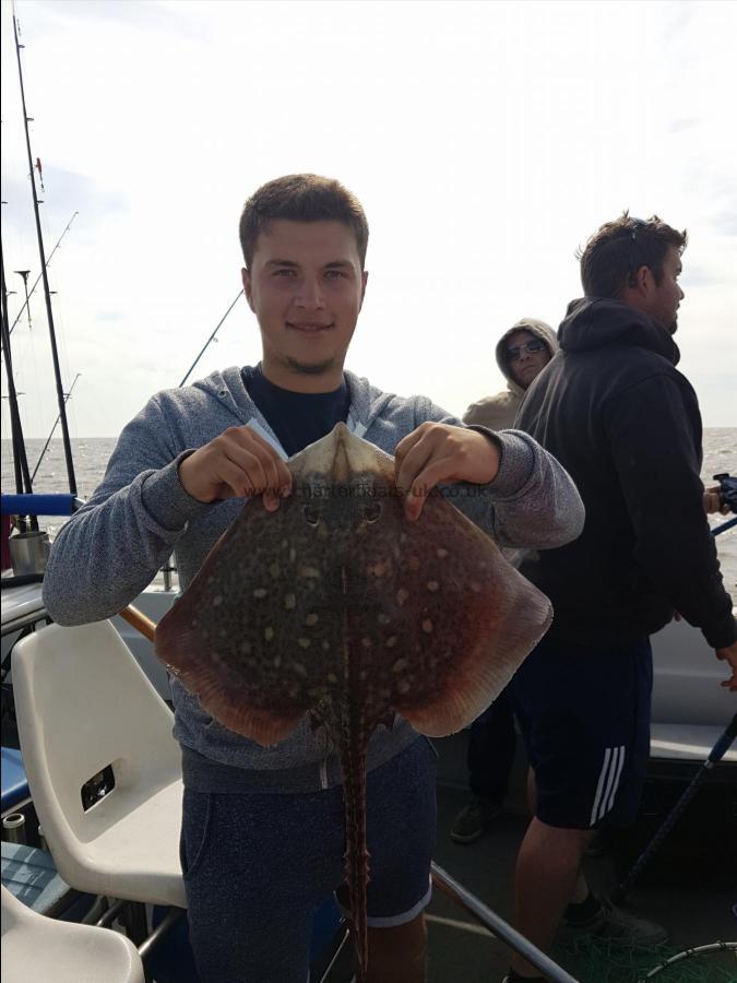 4 lb Thornback Ray by Olly