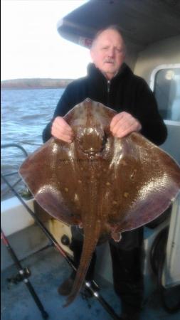 21 lb Blonde Ray by davey