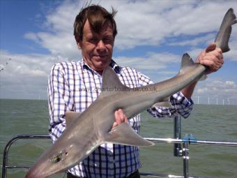 10 lb Starry Smooth-hound by John Oliver