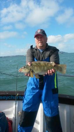 4 lb 1 oz Ballan Wrasse by Unknown