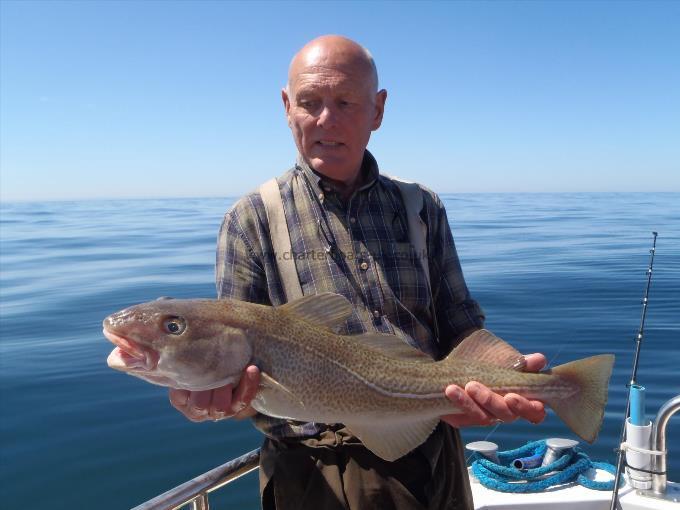 4 lb 3 oz Cod by Unknown