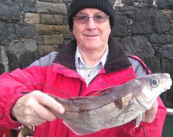 2 lb 8 oz Haddock by peter henk