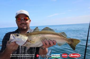 4 lb Pollock by Glen