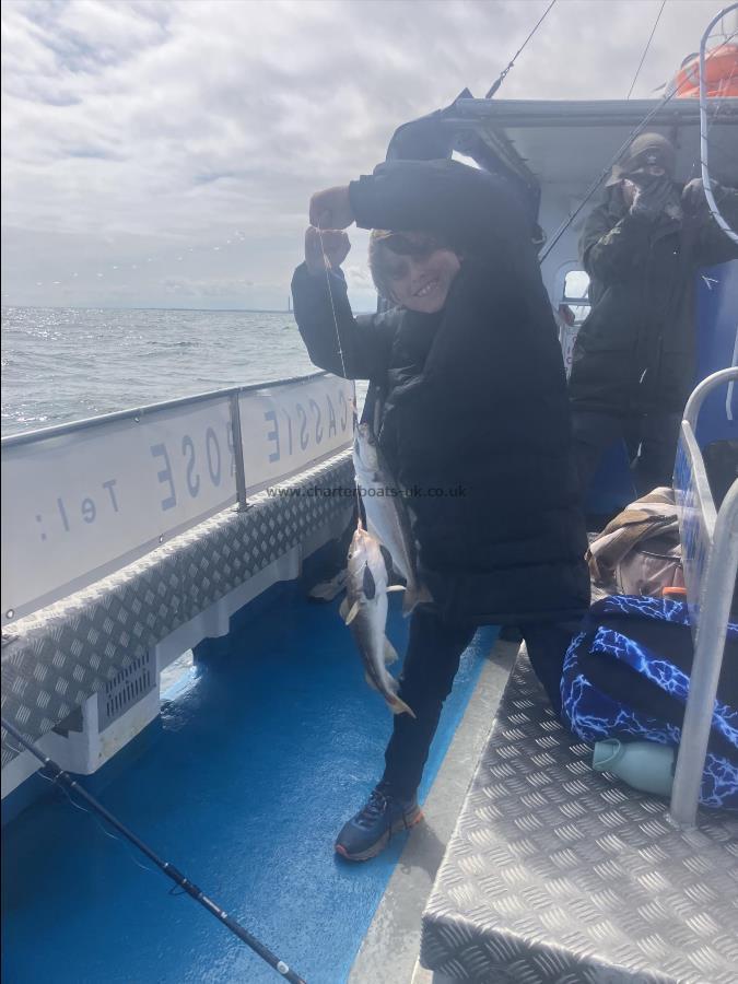 2 lb Cod by Unknown