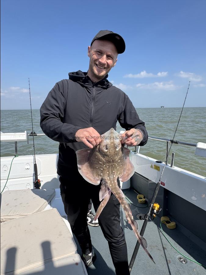 4 lb 8 oz Thornback Ray by Ash