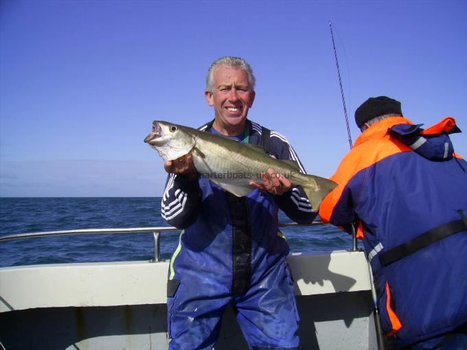 6 lb 9 oz Pollock by Mark