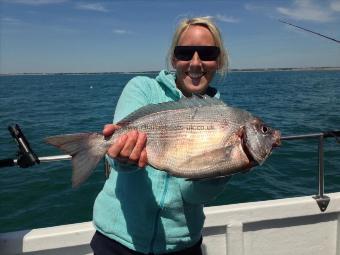 3 lb Black Sea Bream by Unknown