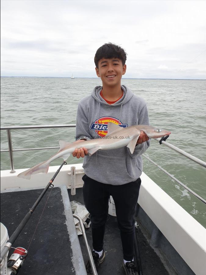 8 lb Smooth-hound by Bob Marshall