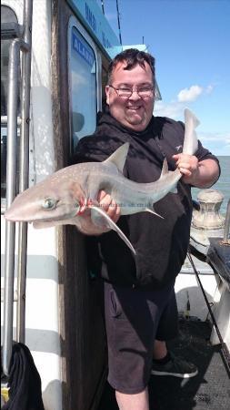 7 lb 6 oz Starry Smooth-hound by matt from dover