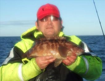 4 lb 2 oz Ballan Wrasse by Stephan Attwood