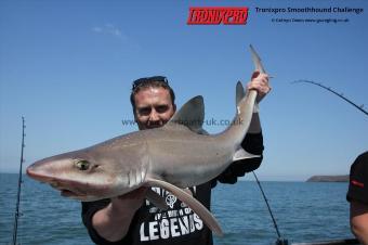 12 lb Starry Smooth-hound by Nai