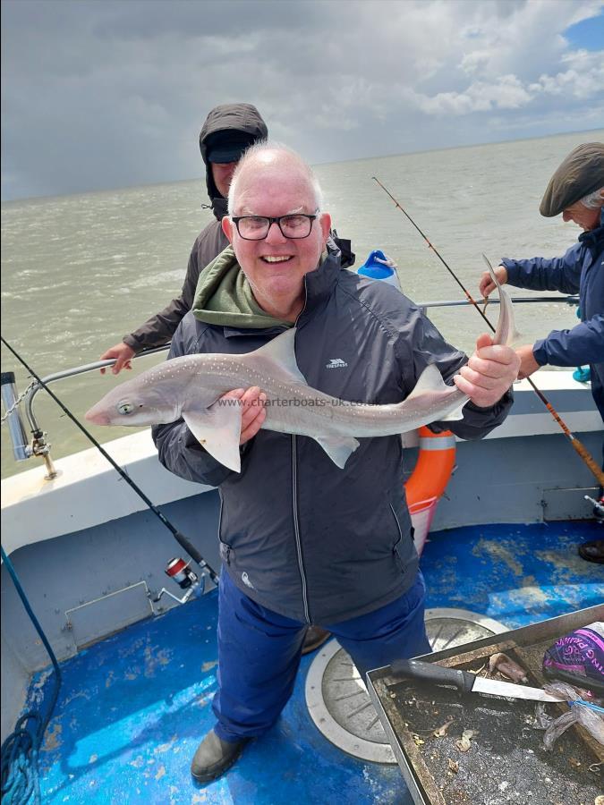 5 lb Smooth-hound by Unknown