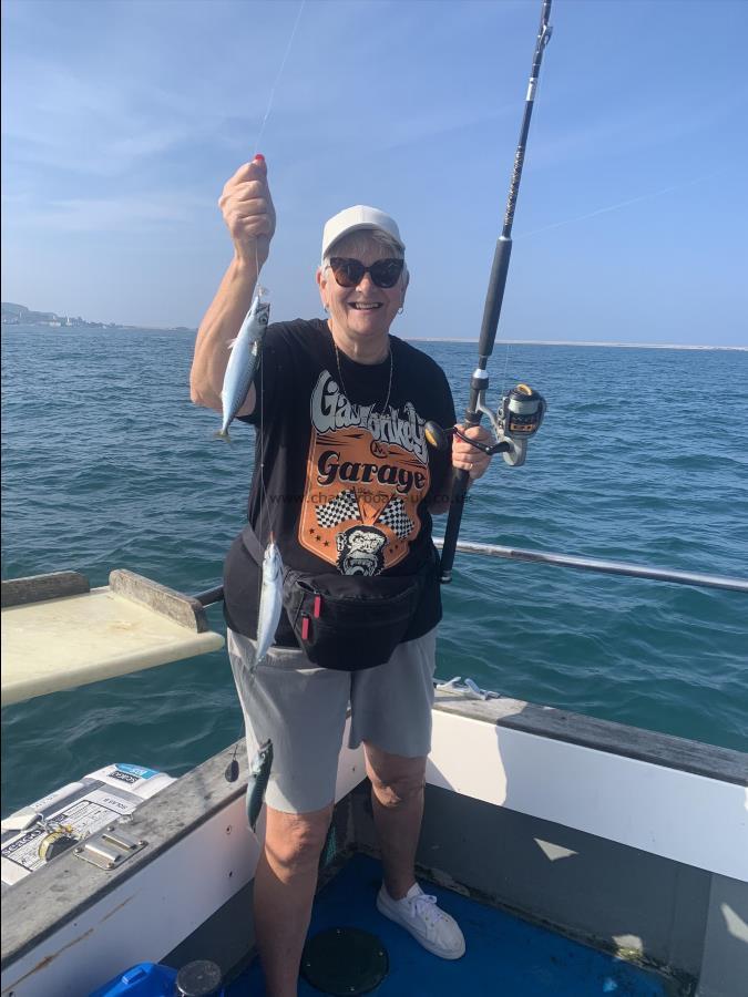 1 lb Mackerel by Unknown