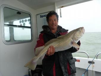 6 lb Cod by Clive Webb