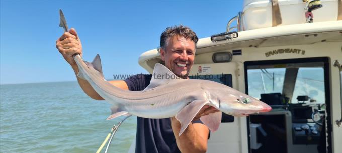 10 lb 1 oz Starry Smooth-hound by Terry