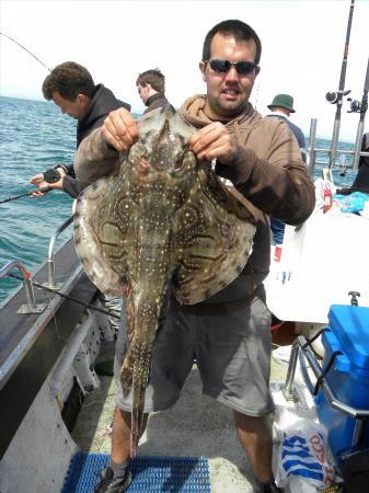 16 lb 4 oz Undulate Ray by Unknown