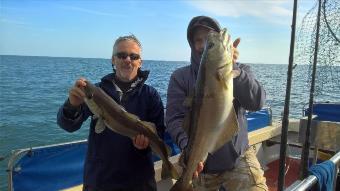 7 lb 8 oz Pollock by Stephen Wake