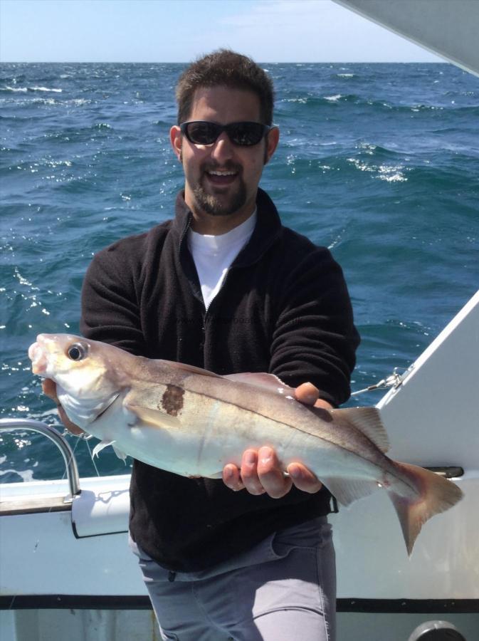 6 lb Haddock by Dave Langford