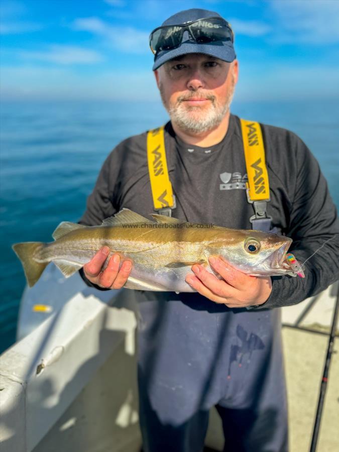 2 lb 10 oz Pollock by Hampshire Police comp