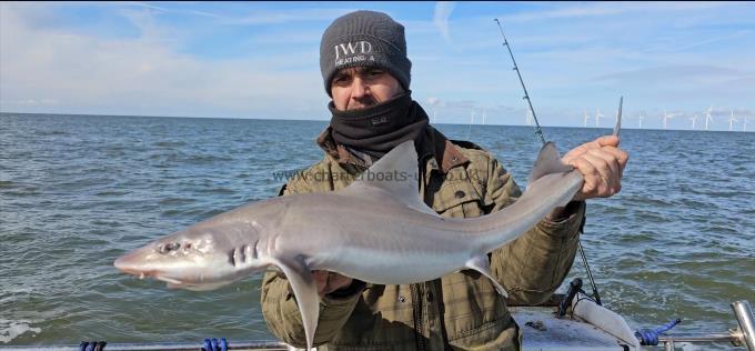 9 lb 10 oz Smooth-hound by James