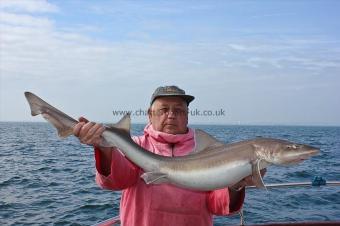 17 lb Starry Smooth-hound by Alan Hilton