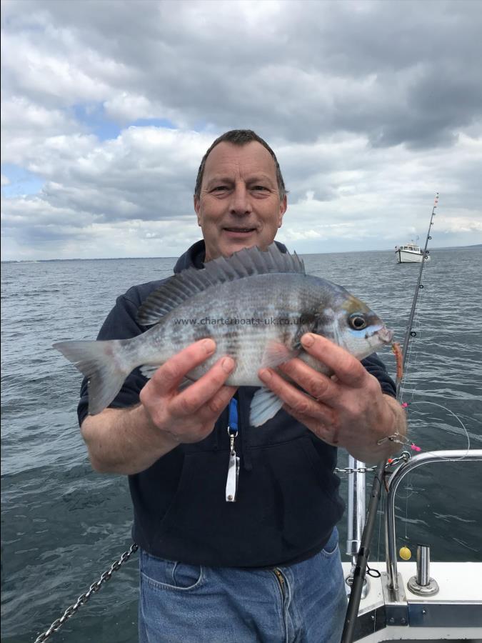 2 lb 4 oz Black Sea Bream by Jules