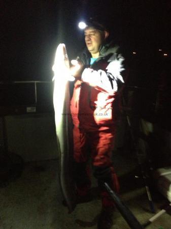 20 lb Conger Eel by JG