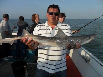 7 lb Smooth-hound (Common) by Garry