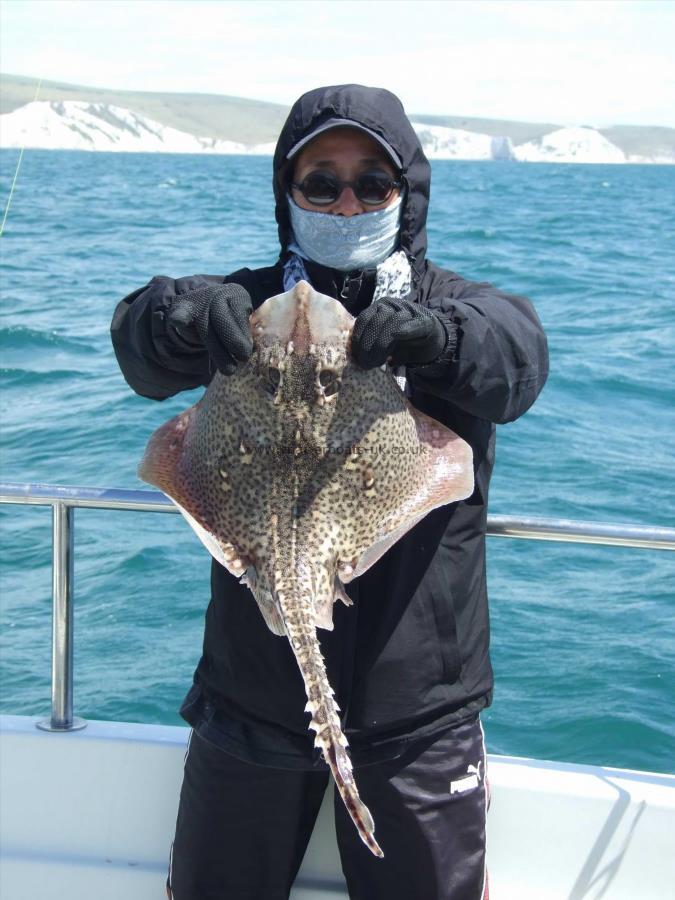 6 lb Thornback Ray by Amy