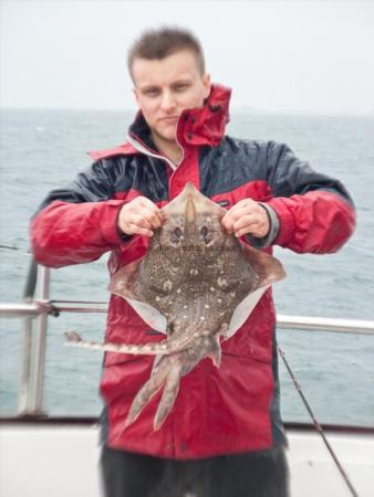 4 lb Thornback Ray by Unknown